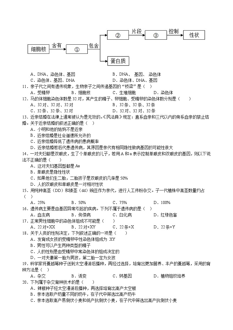 甘肃省武武威第七中学2023-2024学年下学期期末考试八年级生物试题(含答案)03