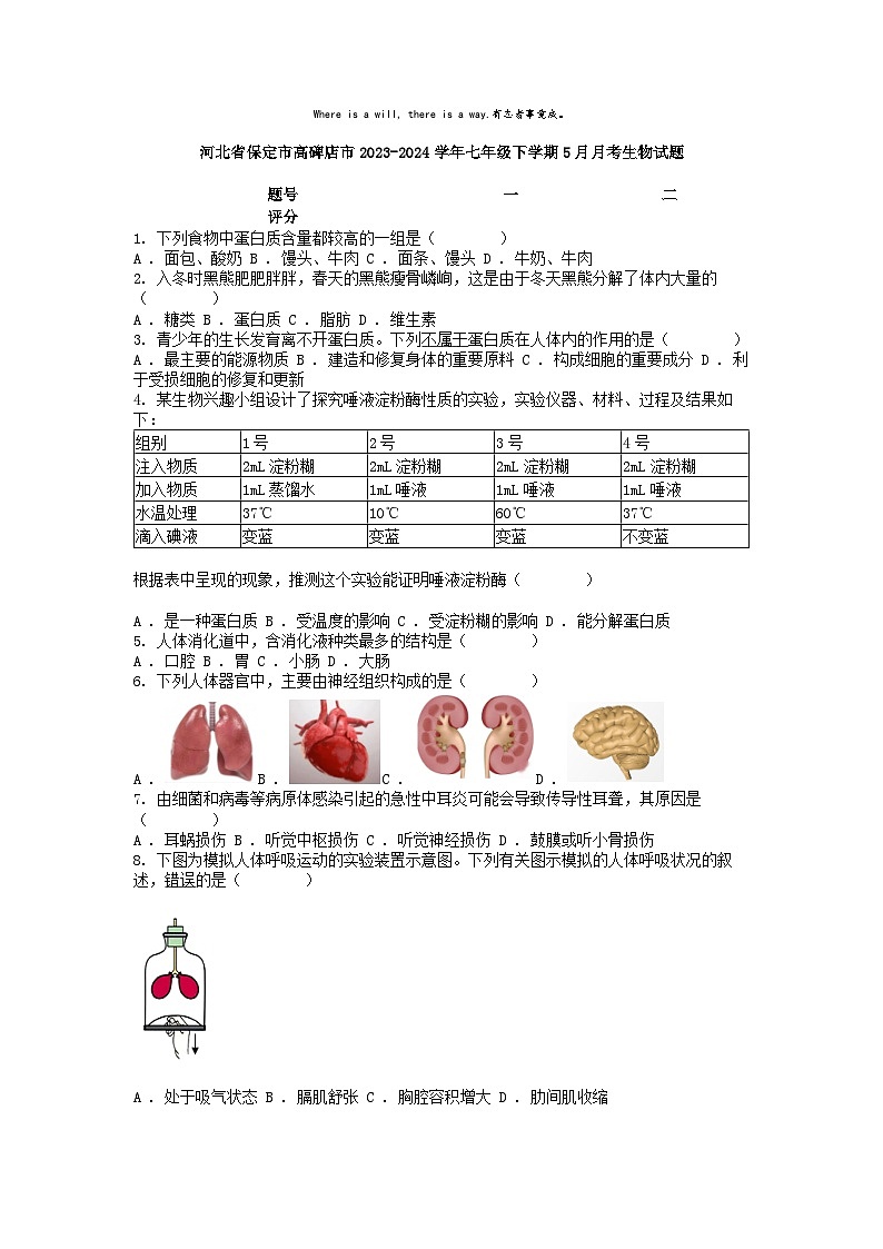 [生物]河北省保定市高碑店市2023-2024学年七年级下学期5月月考试题01