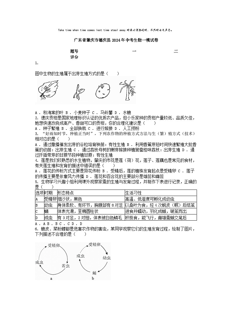 [生物][一模]广东省肇庆市德庆县2024年中考试卷01