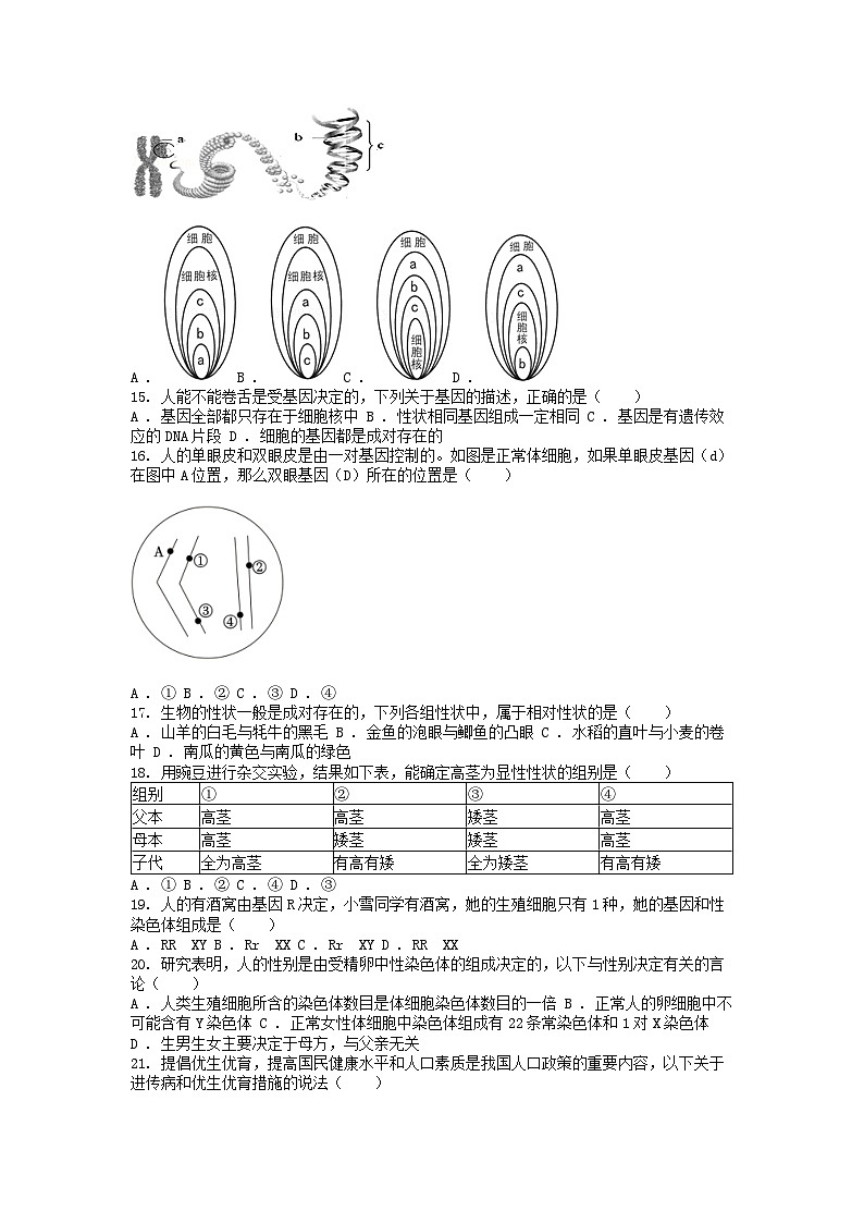[生物][一模]广东省肇庆市德庆县2024年中考试卷03