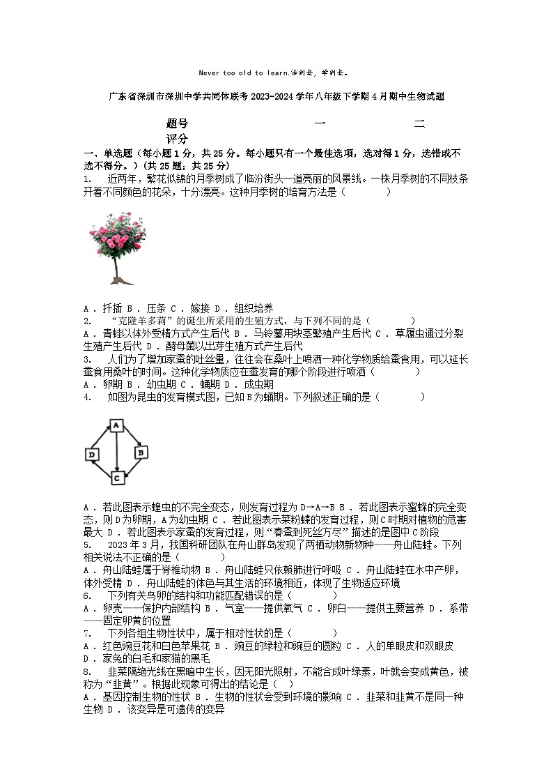 [生物]广东省深圳市深圳中学共同体联考2023-2024学年八年级下学期4月期中试题01