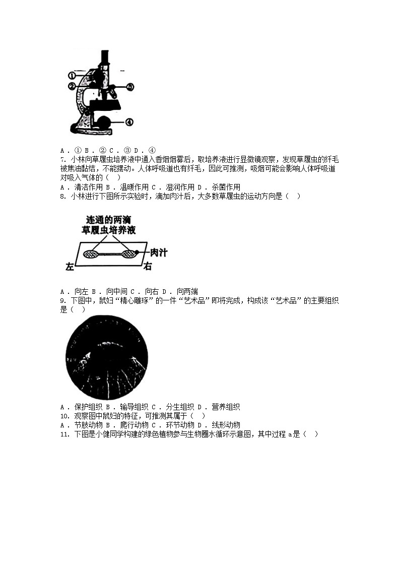 [生物]山西省2024年中考真题试卷02