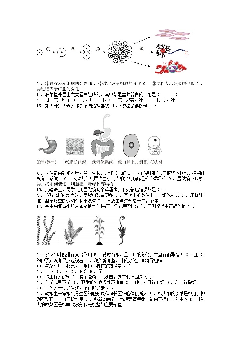 [生物]云南省昭通市永善县2023-2024学年七年级上学期期末试卷02