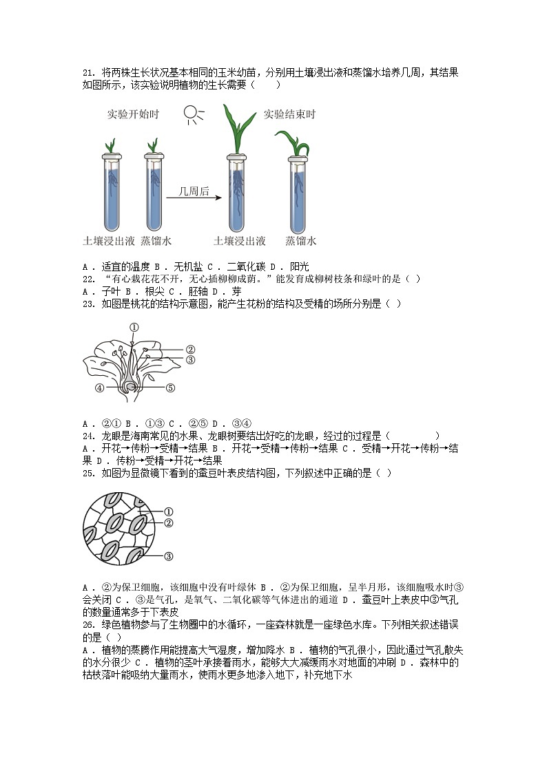 [生物]云南省昭通市永善县2023-2024学年七年级上学期期末试卷03