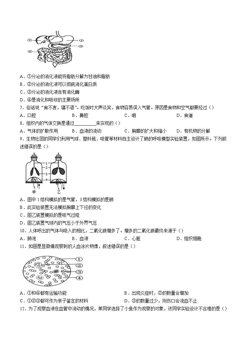 陕西省咸阳市泾阳县2023-2024学年七年级下学期期末教学质量检测生物试卷第2页