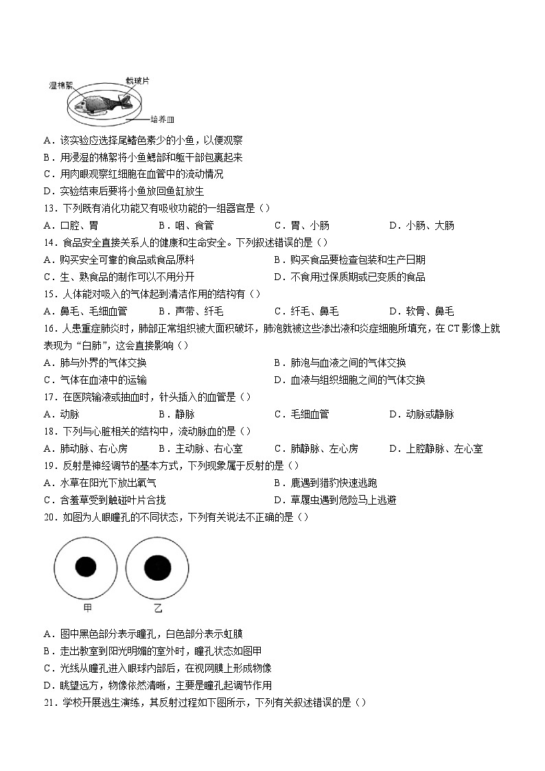 陕西省咸阳市泾阳县2023-2024学年七年级下学期期末教学质量检测生物试卷第3页
