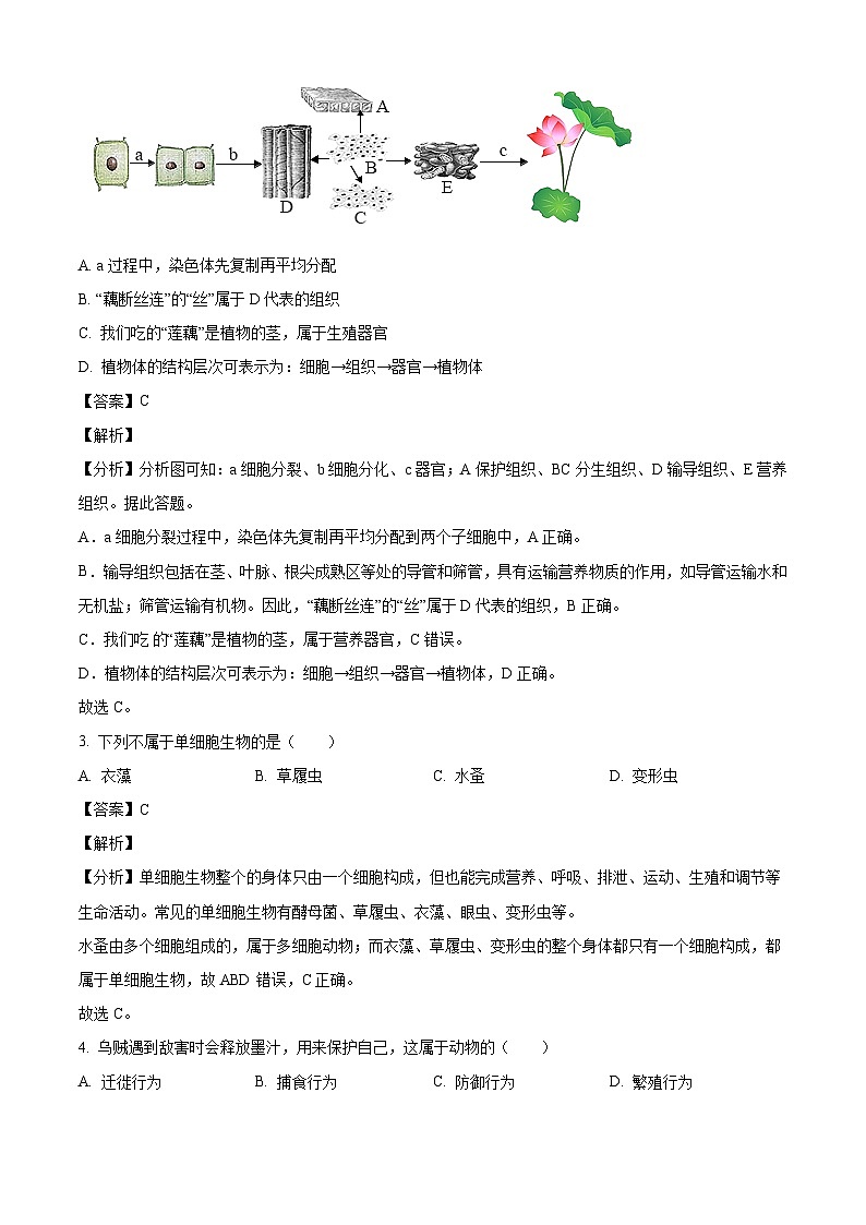 2024年河北省廊坊市安次区初中学业水平模拟测试生物试题（解析版）第2页