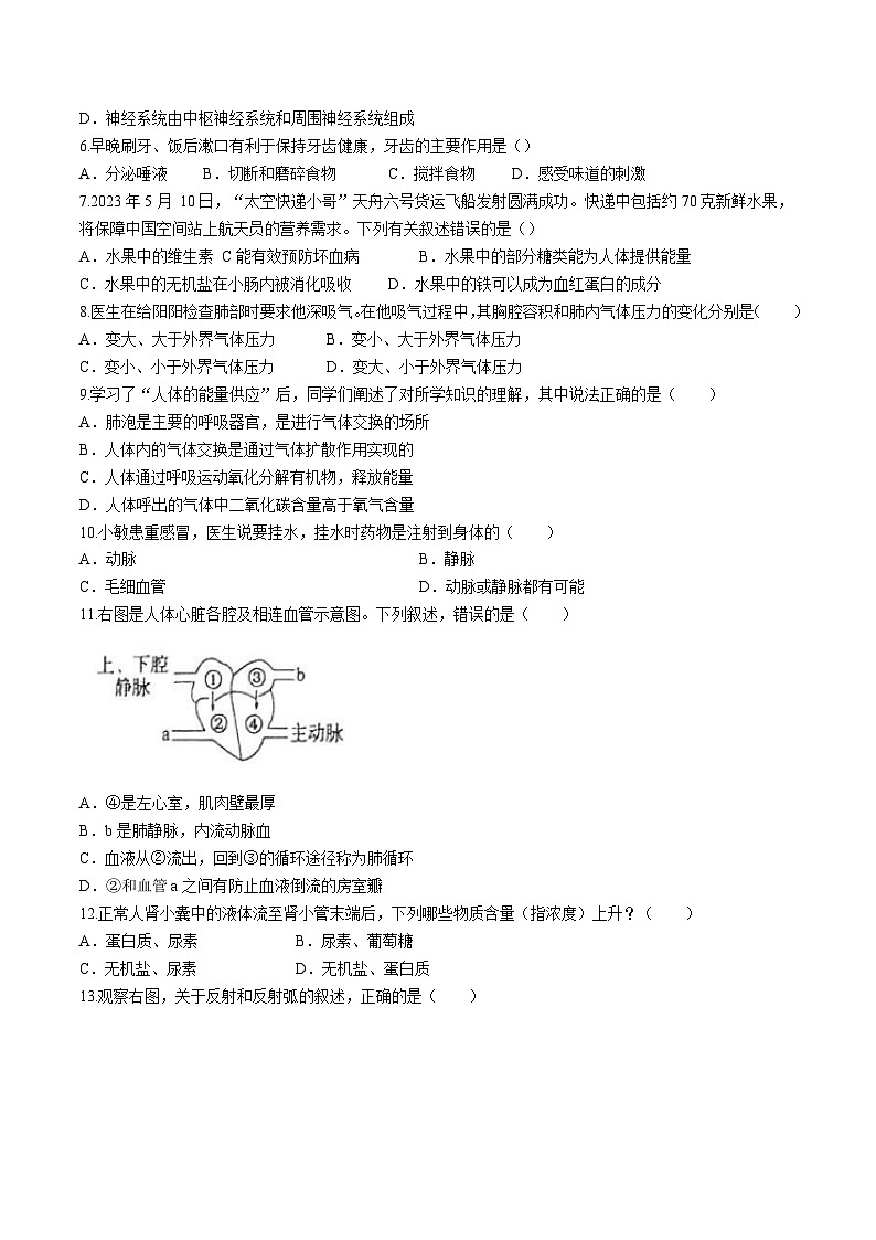 贵州省毕节市金沙县2023-2024学年七年级下学期7月期末生物试题第2页