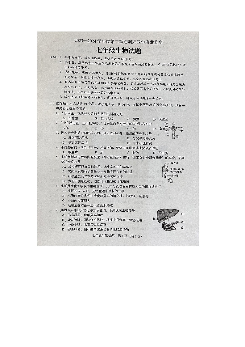 广东省阳江市阳东区2023-2024学年七年级下学期期末考试生物试卷第1页