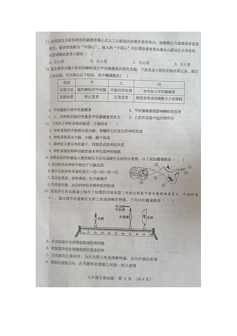 山东省菏泽市成武县2023-2024学年七年级下学期7月期末生物试题03