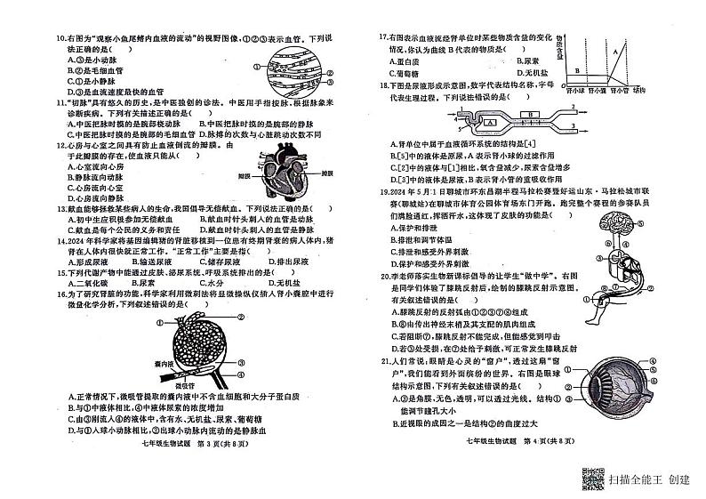 山东省聊城市高唐县2023-2024学年七年级下学期期末考试生物试题02