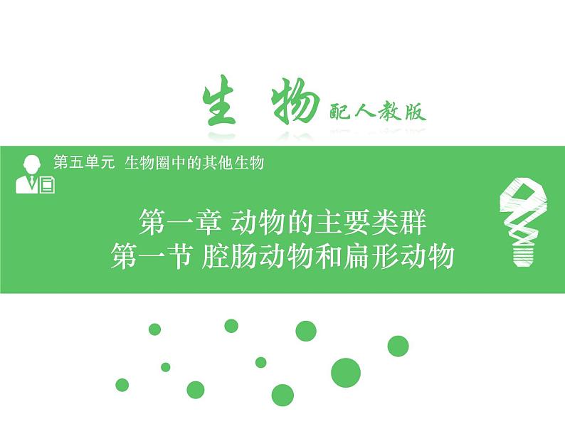 5.1.1 腔肠动物和扁形动物 课件2024年初中秋季人教版生物八年级上册01