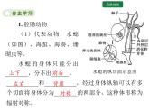5.1.1 腔肠动物和扁形动物 课件2024年初中秋季人教版生物八年级上册