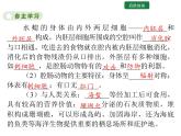 5.1.1 腔肠动物和扁形动物 课件2024年初中秋季人教版生物八年级上册