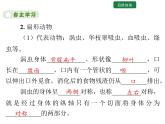 5.1.1 腔肠动物和扁形动物 课件2024年初中秋季人教版生物八年级上册