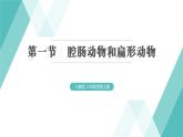 5.1.1 腔肠动物和扁形动物习题课件2024年初中秋季人教版生物八年级上册