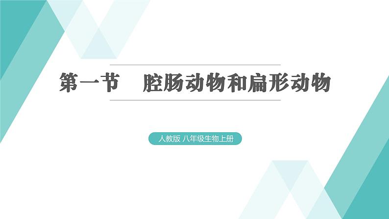 5.1.1 腔肠动物和扁形动物习题课件2024年初中秋季人教版生物八年级上册第1页