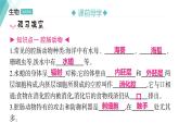 5.1.1 腔肠动物和扁形动物习题课件2024年初中秋季人教版生物八年级上册