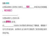 5.1.1 腔肠动物和扁形动物习题课件2024年初中秋季人教版生物八年级上册