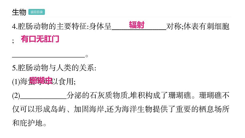 5.1.1 腔肠动物和扁形动物习题课件2024年初中秋季人教版生物八年级上册第4页