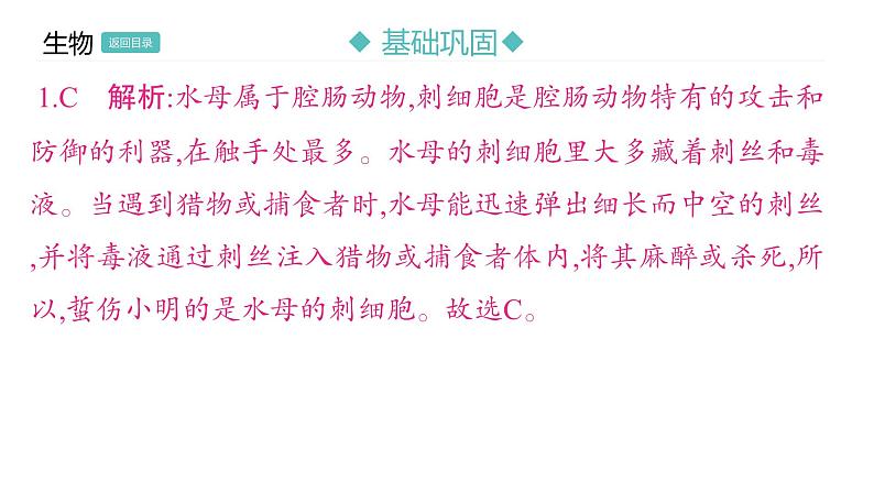 5.1.1 腔肠动物和扁形动物习题课件2024年初中秋季人教版生物八年级上册第7页