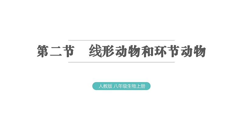 5.1.2 线形动物和环节动物 习题课件2024年初中秋季人教版生物八年级上册01