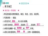 5.1.2 线形动物和环节动物 习题课件2024年初中秋季人教版生物八年级上册