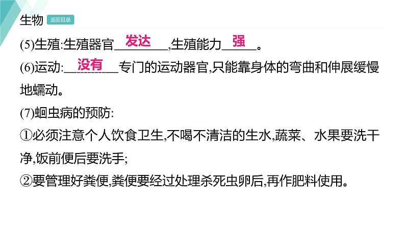 5.1.2 线形动物和环节动物 习题课件2024年初中秋季人教版生物八年级上册04