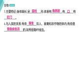 5.1.2 线形动物和环节动物 习题课件2024年初中秋季人教版生物八年级上册