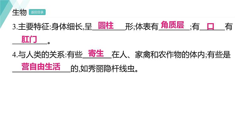 5.1.2 线形动物和环节动物 习题课件2024年初中秋季人教版生物八年级上册05