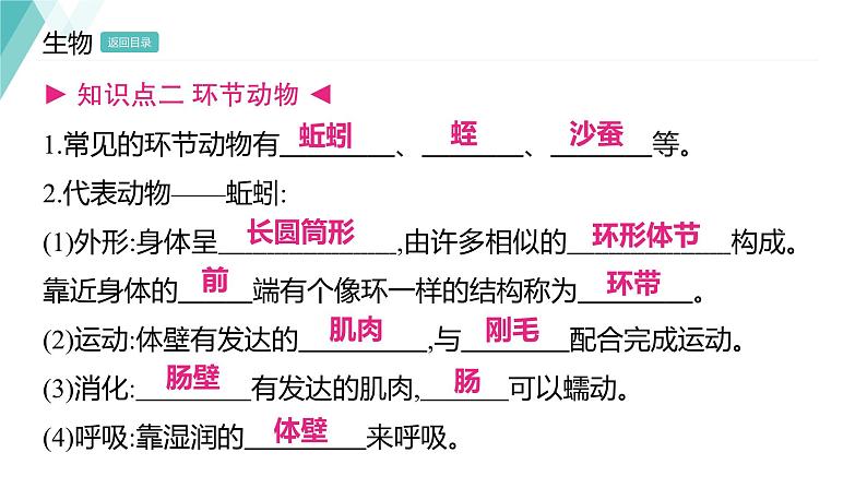 5.1.2 线形动物和环节动物 习题课件2024年初中秋季人教版生物八年级上册06