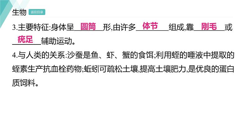 5.1.2 线形动物和环节动物 习题课件2024年初中秋季人教版生物八年级上册07