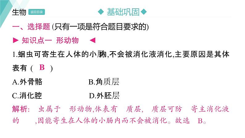 5.1.2 线形动物和环节动物 习题课件2024年初中秋季人教版生物八年级上册08