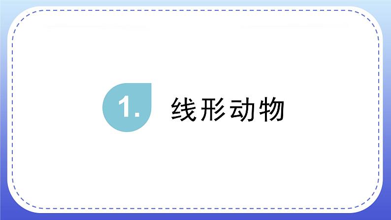 5.1.2线形动物和环节动物课件2024年初中秋季人教版生物八年级上册03