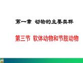 5.1.3  软体动物和节肢动物课件2024年初中秋季人教版生物八年级上册