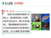 5.1.3  软体动物和节肢动物课件2024年初中秋季人教版生物八年级上册