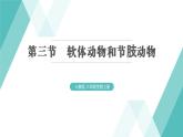5.1.3 软体动物和节肢动物 习题课件2024年初中秋季人教版生物八年级上册
