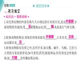 5.1.3 软体动物和节肢动物 习题课件2024年初中秋季人教版生物八年级上册