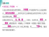 5.1.3 软体动物和节肢动物 习题课件2024年初中秋季人教版生物八年级上册