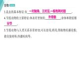 5.1.3 软体动物和节肢动物 习题课件2024年初中秋季人教版生物八年级上册