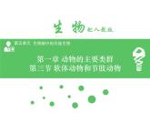 5.1.3 软体动物和节肢动物课件2024年初中秋季人教版生物八年级上册