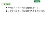 5.1.3 软体动物和节肢动物课件2024年初中秋季人教版生物八年级上册