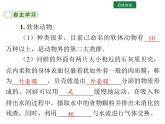 5.1.3 软体动物和节肢动物课件2024年初中秋季人教版生物八年级上册