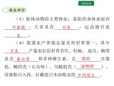 5.1.3 软体动物和节肢动物课件2024年初中秋季人教版生物八年级上册