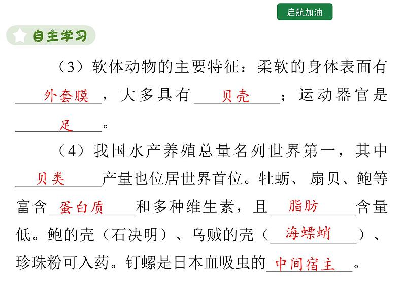 5.1.3 软体动物和节肢动物课件2024年初中秋季人教版生物八年级上册第4页