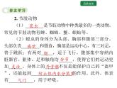 5.1.3 软体动物和节肢动物课件2024年初中秋季人教版生物八年级上册
