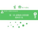 5.1.4  鱼 课件2024年初中秋季人教版生物八年级上册