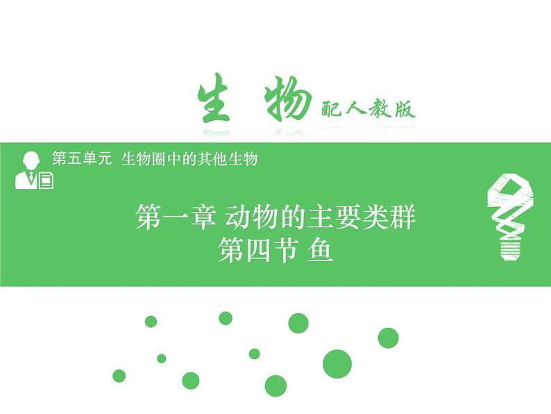 5.1.4  鱼 课件2024年初中秋季人教版生物八年级上册第1页