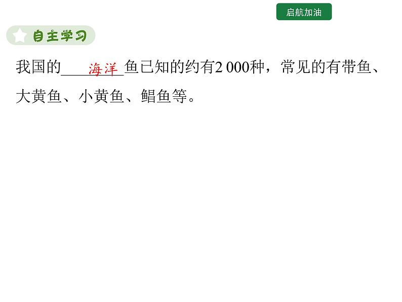 5.1.4  鱼 课件2024年初中秋季人教版生物八年级上册第4页