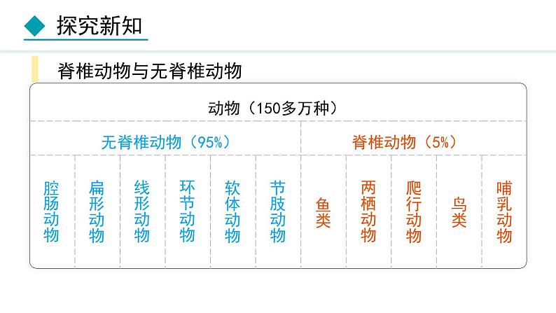 5.1.4  鱼课件2024年初中秋季人教版生物八年级上册第4页